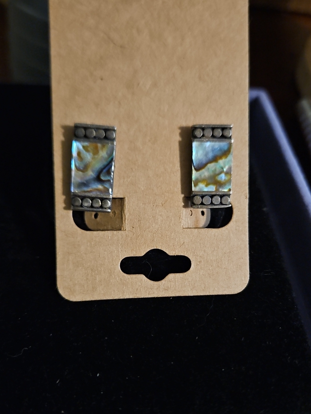 Abalone Inlay Rectangular Stud Earrings - Iridescent Blue-Green